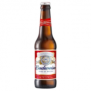 Budweiser 24 x 330ml bottles